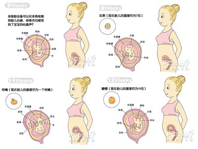 代怀代生套餐生的孩子正常发育标准（代怀代生套餐生的孩子正常发育标准图片）