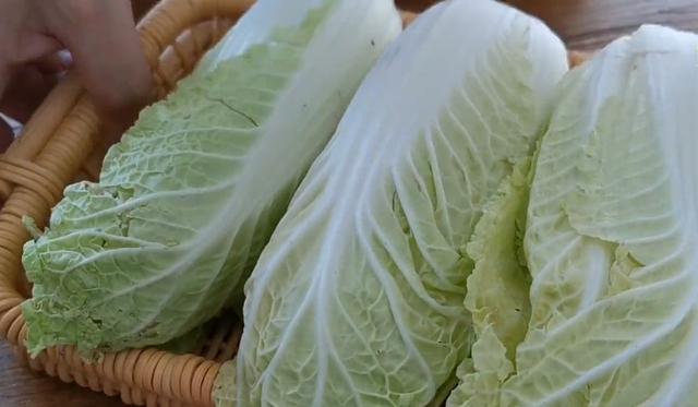 白菜怎么做给借卵供卵低费用生的宝宝吃（白菜怎么给代怀代生套餐生的孩子做好吃）